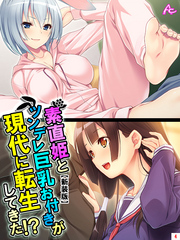 【新装版】素直姫とツンデレ巨乳お付きが現代に転生してきた！？　第４巻