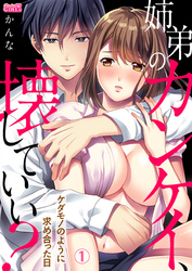 姉弟のカンケイ、壊していい？～ケダモノのように求め合った日～