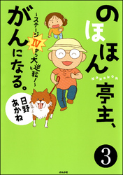 のほほん亭主、がんになる。～ステージ4から大逆転！～（分冊版）　【第3話】