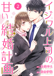 comic Berry’sイジワル上司の甘い結婚計画2巻