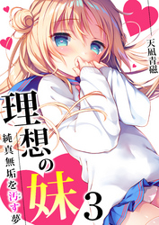 理想の妹～純真無垢を汚す夢～　3巻