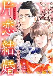 片恋結婚（分冊版）～連載編～　【第29話】