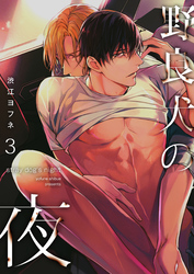 野良犬の夜（3）