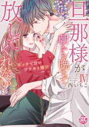 旦那様が朝から晩まで放してくれない～エッチで甘いワケあり婚！？【コミックス版】【電子版限定特典付き】 4巻