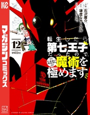 転生したら第七王子だったので、気ままに魔術を極めます（１２）