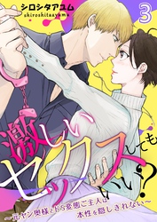 激しいセックスしてもいい？～元ヤン奥様とドS変態ご主人は本性を隠しきれない～ 3