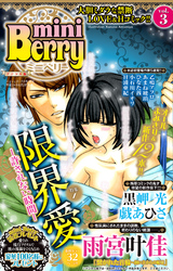 miniBerry vol.3