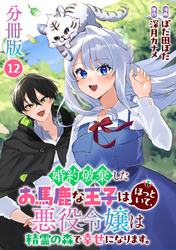 婚約破棄したお馬鹿な王子はほっといて、悪役令嬢は精霊の森で幸せになります。【分冊版】12