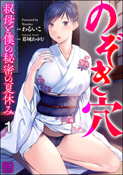 のぞき穴 叔母と僕の秘密の夏休み（分冊版）