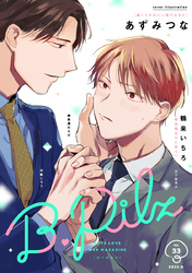 B.Pilz ｖｏｌ．33