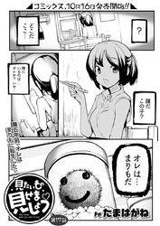 見たいもの見せましょう〈連載版〉第17話 てんせい３