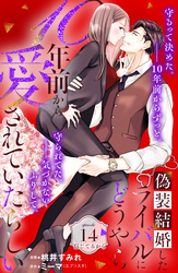 偽装結婚したライバルにどうやら１０年前から愛されていたらしい　分冊版（１４）