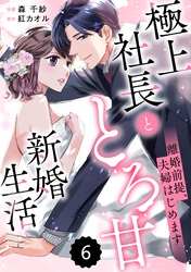 comic Berry’s離婚前提、夫婦はじめます～極上社長ととろ甘新婚生活～6巻