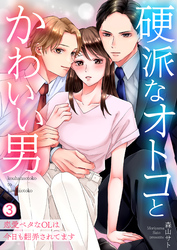 硬派なオトコとかわいい男～恋愛ベタなOLは今日も翻弄されてます～(3)