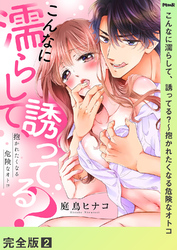 こんなに濡らして、誘ってる？～抱かれたくなる危険なオトコ【完全版】２