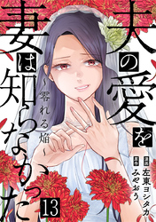 夫の愛を妻は知らなかった～零れる焔～ 13巻