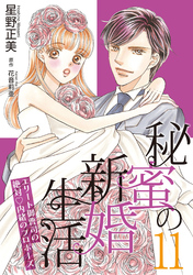 秘蜜の新婚生活～エリート御曹司の絶対内緒のプロポーズ～【分冊版】11話