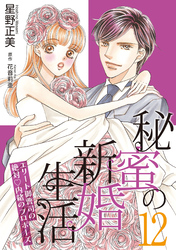 秘蜜の新婚生活～エリート御曹司の絶対内緒のプロポーズ～【分冊版】12話