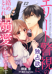 エリート警視の独占欲に絡めとられ溺愛されています【分冊版】12話