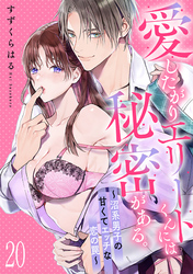 愛したがりエリートくんには秘密がある。～沼系男子の甘くてエッチな恋の罠～(20)