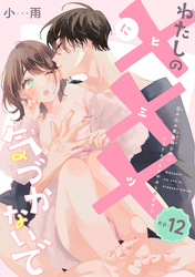 わたしの×××に気づかないで　住み込み家政婦なのにひとりえっちがやめられません 【短編】ep.12