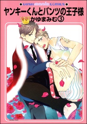 ヤンキーくんとパンツの王子様（分冊版）　【第3話】