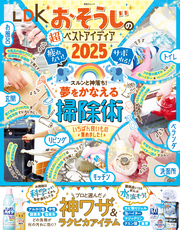 晋遊舎ムック　LDKおそうじの超ベストアイディア2025