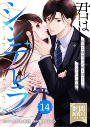 comic Berry’s君はシンデレラ～孤高な御曹司が絶え間なく愛を注ぐ理由～【財閥御曹司シリーズ】14巻