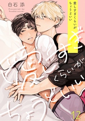 愛しすぎくらいがちょうどいい１２