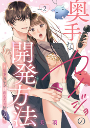 奥手なカノジョの開発方法～年下カレシはおもちゃ屋さん～ 【短編】Level.2