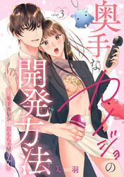 奥手なカノジョの開発方法～年下カレシはおもちゃ屋さん～ 【短編】Level.3