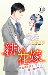 緋い花嫁～契約婚と彼と拗れた一族～ 14