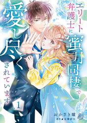 【期間限定　試し読み増量版】エリート弁護士に蜜月同棲で愛し尽くされています