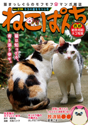 ねこぱんちNo.218　ネコの目キラリ☆号