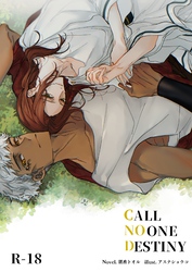 CALL NO ONE DESTINY