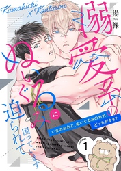 溺愛系のぬいぐるみに迫られて困っています【描き下ろしおまけ付き特装版】