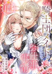 とある騎士団メイドの多忙なお仕事事情
