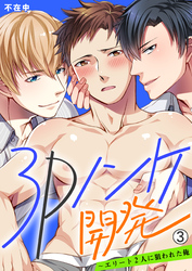 3Pノンケ開発～エリート2人に狙われた俺【再編集版】(3)