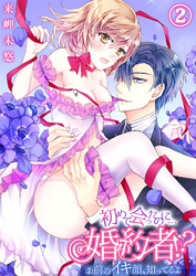 初めて会ったのに…婚約者！？-お前のイキ顔、知ってるよ２