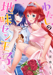 わたしの地味セン王子(3)