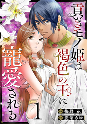 貢ぎモノ姫は褐色の王に寵愛される