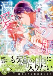【期間限定　試し読み増量版】ニセモノ姫と溺愛王子～氷の仮面に隠された10年目の渇愛～４【描き下ろし番外編つき】