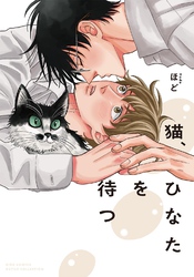 猫、ひなたを待つ