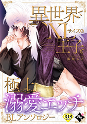 【18禁版】異世界でXLサイズの王子と極上溺愛エッチBLアンソロジー