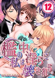 檻の中、私は淫らに壊される。(12)