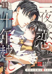 一夜の恋は十年越しに～待宵の花嫁は愛される～(11)