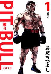 ＰＩＴ　ＢＵＬＬ－闘牛－