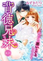 背徳兄妹～私たち悪いことしてる？ 3巻
