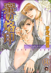凍る灼熱（分冊版）　【第14話】