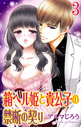箱ヘル姫と貴公子の禁断の契り 3
